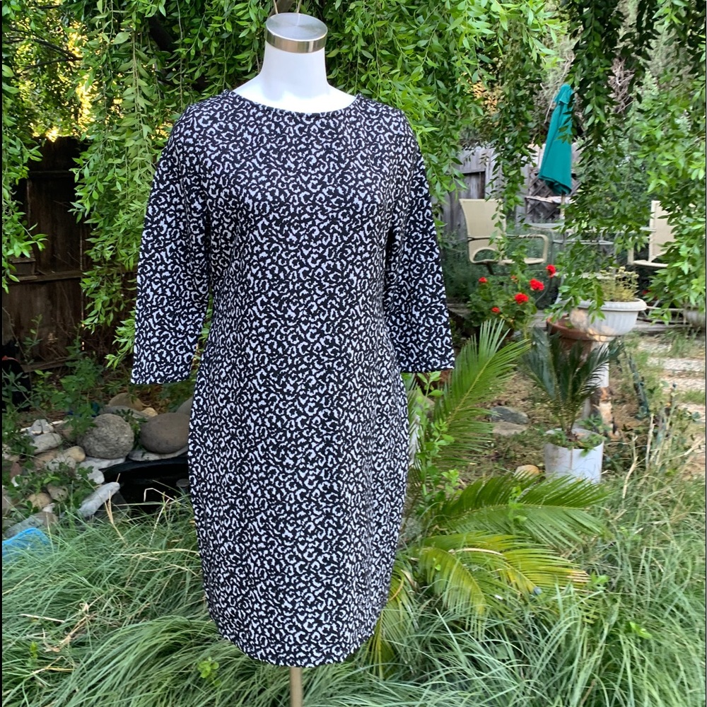 JM STUDIO by JOHN MEYER Black White Dress Plus 14